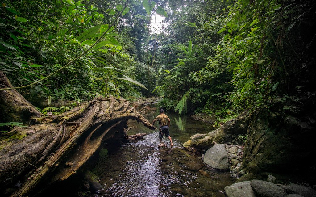 Chaos in the Darien Jungle